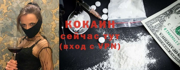мескалин Арсеньев
